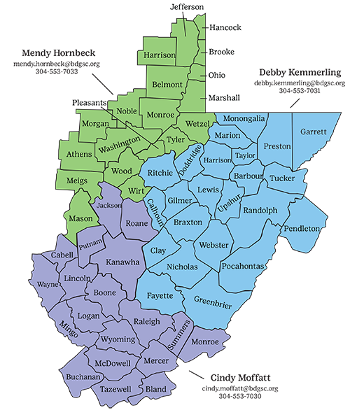 Volunteer Support Services